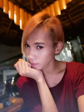 Thai ladyboys for dating / Ladyboys from Philippines for dating