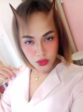 Thai ladyboys for dating / Ladyboys from Philippines for dating